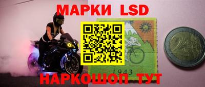 хмурый Кингисепп
