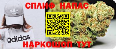 хмурый Кингисепп