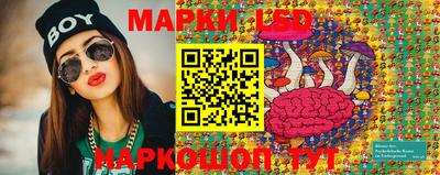 хмурый Кингисепп
