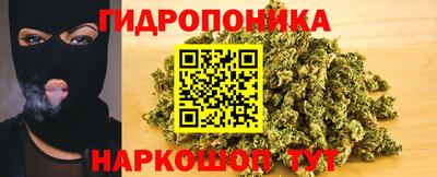 ПСИЛОЦИБИНОВЫЕ ГРИБЫ Кимры