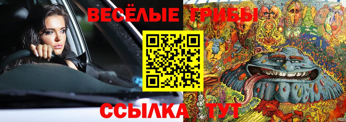 Галлюциногенные грибы мицелий Кимовск