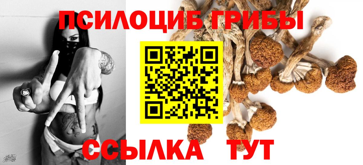 Галлюциногенные грибы мицелий  Вход с VPN  Кимовск 